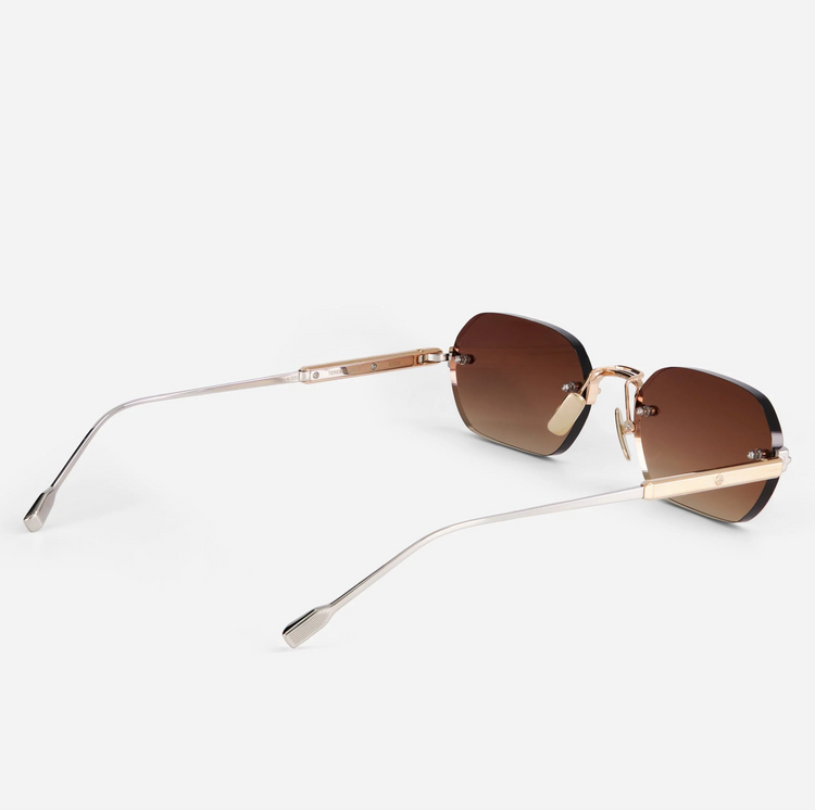 TEREBELLUM IV | S1004