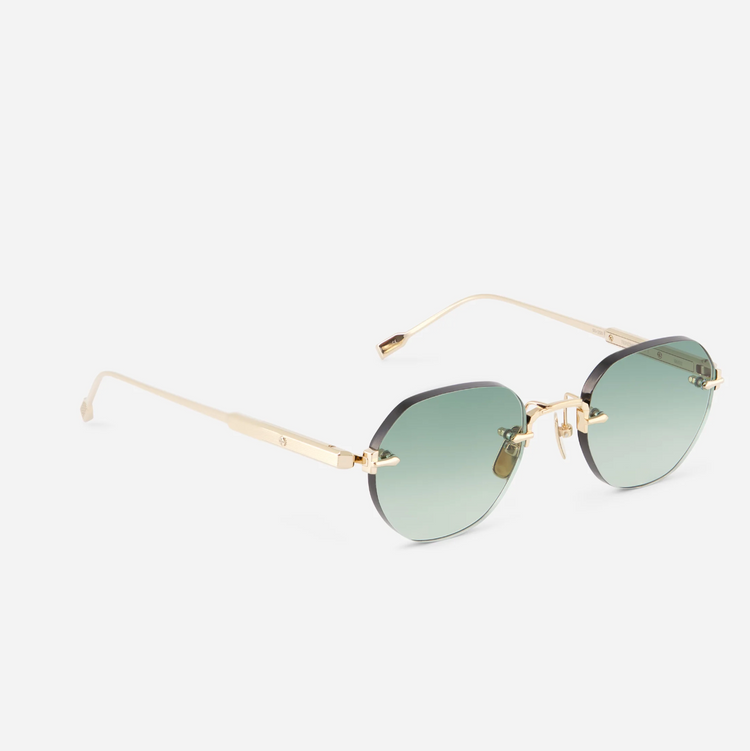 TEREBELLUM I | S602